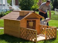 Doghouse à faire soi-même: 57 photos de la création d'une maison durable pour votre animal de compagnie!